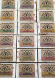 Plumeria Shea Butter Soap