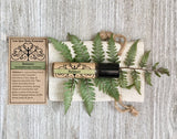 Balance Aromatherapy Perfume